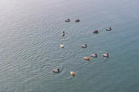 冰雪消融，立春将至水鸟来图片