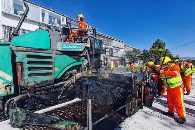 黑路面+银杏道！大凤路景区段绿美“上新”
