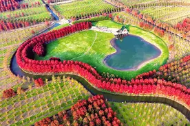 拼搏正当时丨“乡”约邳州！图片