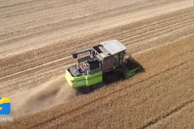 数字生态农场+和美乡村建设 济南高新区遥墙街道为村民致富插上“科技翅膀”图片