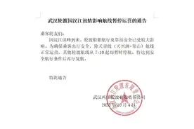 汉江洪峰到来！武汉轮渡：除天青线外其他轮渡航线今日7:10起均暂时停航图片