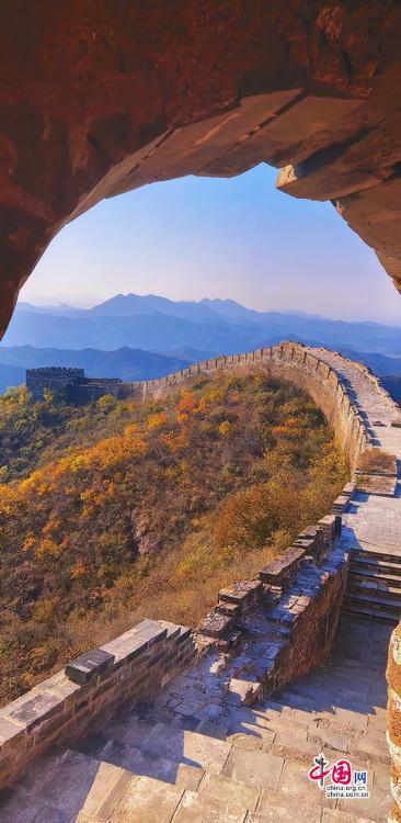 重阳时节登高金山岭，长城秋色尽显浪漫风情