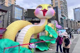 入滇寻“蛇”，巳巳如意！图片