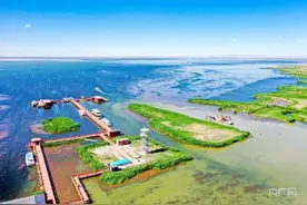 乌梁素海“蝶变重生”图片