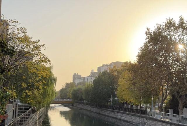 秋冬限定美景上线！快来长宁这个小镇打卡吧→