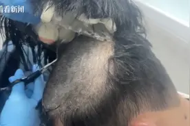 不忍直视！男子在机场过安检时，假发被当众掀开图片