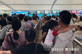 烟台养马岛“最严”交通管制实行，进岛难不难？游得好不好？图片