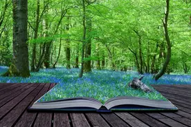 复旦大学教授段怀清：一部通往大地、走近人心的文学书图片