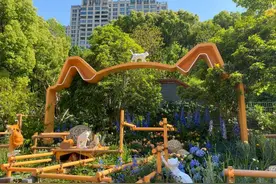 上海国际花展好看好玩好吃好拍的都在这儿了！新天地、徐汇衡复、浦东前滩、上海植物园……打卡攻略来了→图片