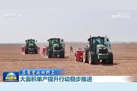 多领域“蒸蒸日上”展现新气象 凝聚起推动高质量发展磅礴力量图片