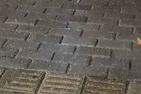 四川绵阳城区下冰雹了？当地回应：不是冰雹，是霰图片