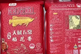 金龙鱼五常大米遭打假，回应称“绝不以次充好”，谁是谁非不难查清楚图片