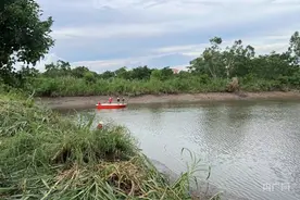 广东茂名某养殖场鳄鱼出逃事件最新进展：已捕获鳄鱼44条图片