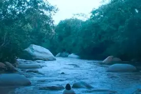 剧集《百年孤独》开播，原著如何在中国卖了1200万册？图片