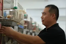 睢县：养殖鹦鹉开辟致富新路图片