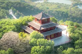 报告，武汉发现一条“龙脉”图片