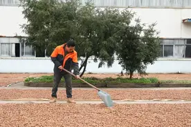 申通快递全年业务量首次突破200亿件！集运包邮助香“榧”进藏图片