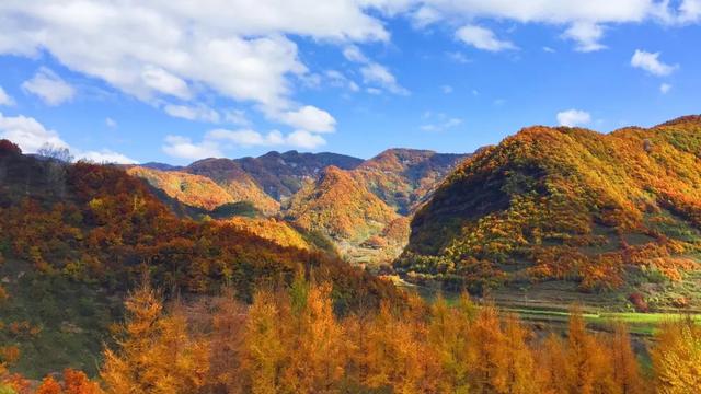 华亭莲花台:绮丽风光无限美 色彩斑斓惹人醉