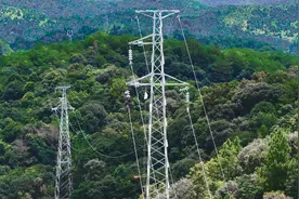 南方电网广东梅州供电局：以世界一流山区配电网建设为“百千万工程”注入电力动能图片