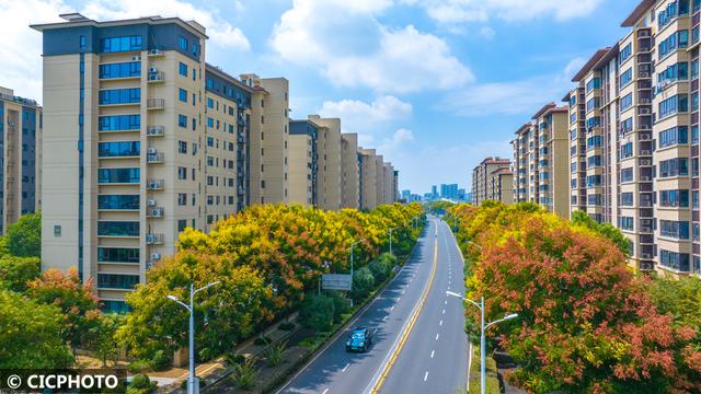 秋日城市风光