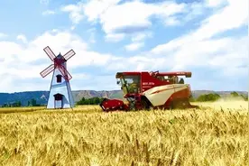 做好“农”字大文章 书写振兴新答卷图片