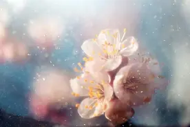 立春了要“躲春”“咬春”！吃点韭菜发点汗 今年少生病图片