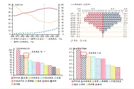 东南亚研究丨解码马来西亚：国情、现状、机遇与风险图片
