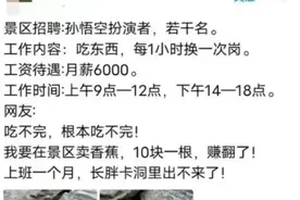 “月薪6000元招人扮孙悟空”引关注 景区：还要招两人，今天有上百人咨询图片