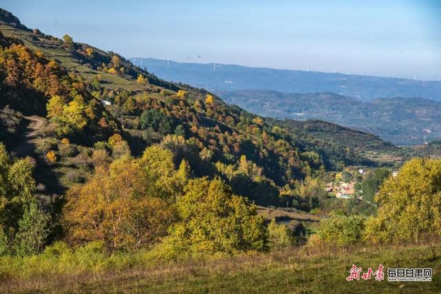 华亭关山多彩林海 解锁陇东最浓秋意