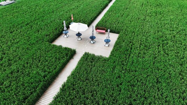 徐州铜山的文旅思考：让创意在乡村流动，成为新式发展动能