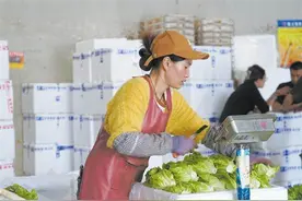 陆良库区移民“移”出新生活图片