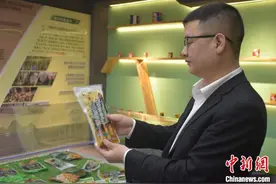 （乡村行·看振兴）江西乐安小竹笋里的大产业图片