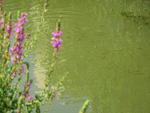 热到融化？来这里立刻降温5℃！