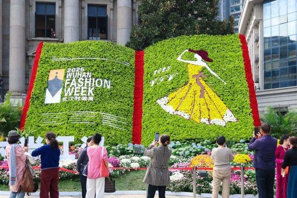 刷屏1个月正式闭幕，武汉金秋菊展留下这些名场面