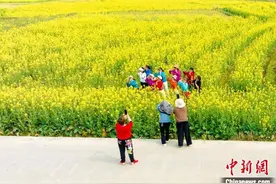 湖南东安“赏花经济”为乡村发展赋能图片