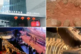 联播观察丨龙年寻龙 成都“巨龙”藏在这！图片