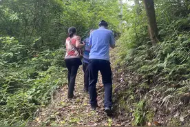 77岁大爷外出失踪彻夜未归，众人连续搜山6小时：他在竹林深处睡着了图片