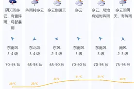 周末深圳天气仍不稳定，10日局部暴雨风险高图片