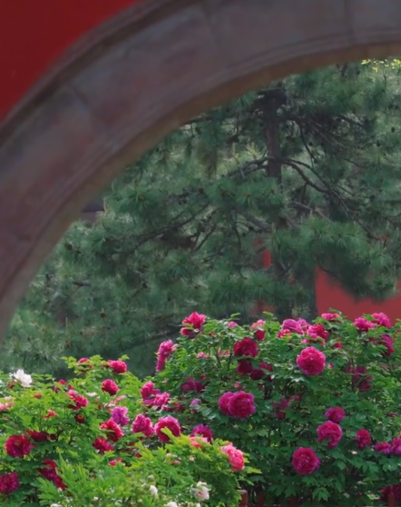 寄情山海间！山西的春天热烈登场