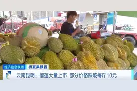 榴莲自由来了？昆明榴莲大量上市，部分价格跌破每斤10元图片