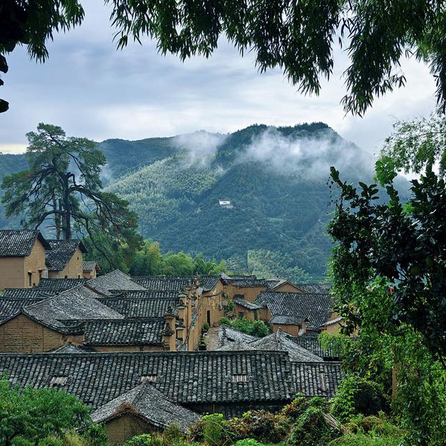 陈以侃：松阳十日小记