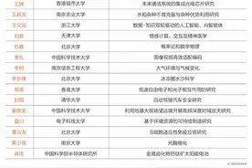 15位学者获2024青橙奖，浙大博导王文冠凭AI研究获奖图片