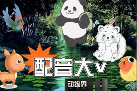 全国生态日丨天生好嗓！被四川森林界的配音大V硬控了图片