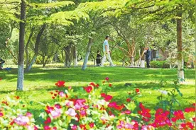 兰州有个“小西湖”图片