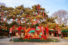 灵蛇贺岁丨北京动物园邀您红火过大年！图片