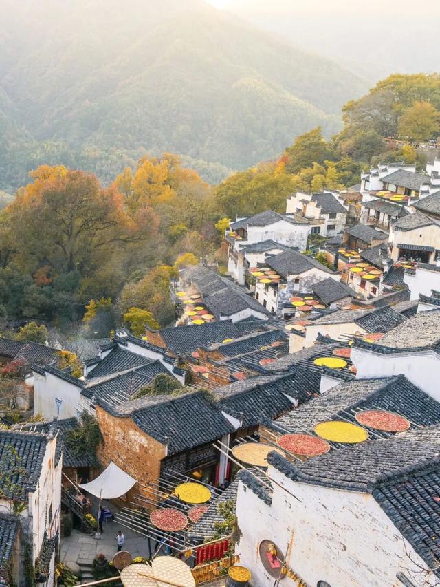 今日重阳｜更受年长者青睐的登山游TOP10在这里！