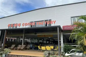 坐动车去普洱探访咖啡厂，解锁云南小粒咖啡新体验图片