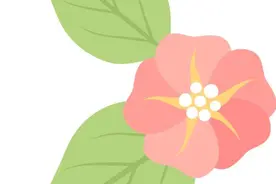 筑梦教育绽芳华 巾帼建功新时代｜上海财经大学2024年巾帼光荣榜图片