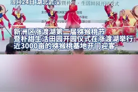 甜“猕”来袭！武汉市最大猕猴桃基地迎来采摘期图片