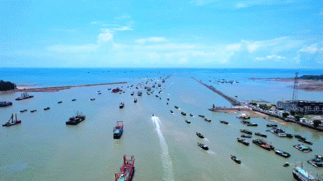 北部湾“18岁的海鲜”回来了！防城港、北海、钦州开海活动超全攻略看这篇→